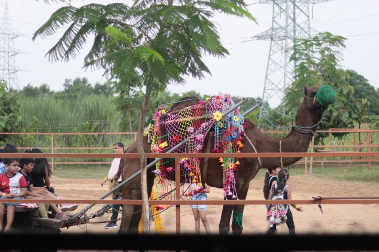 Madhavgarh Farm & Resort Gurgaon Eksteriør bilde