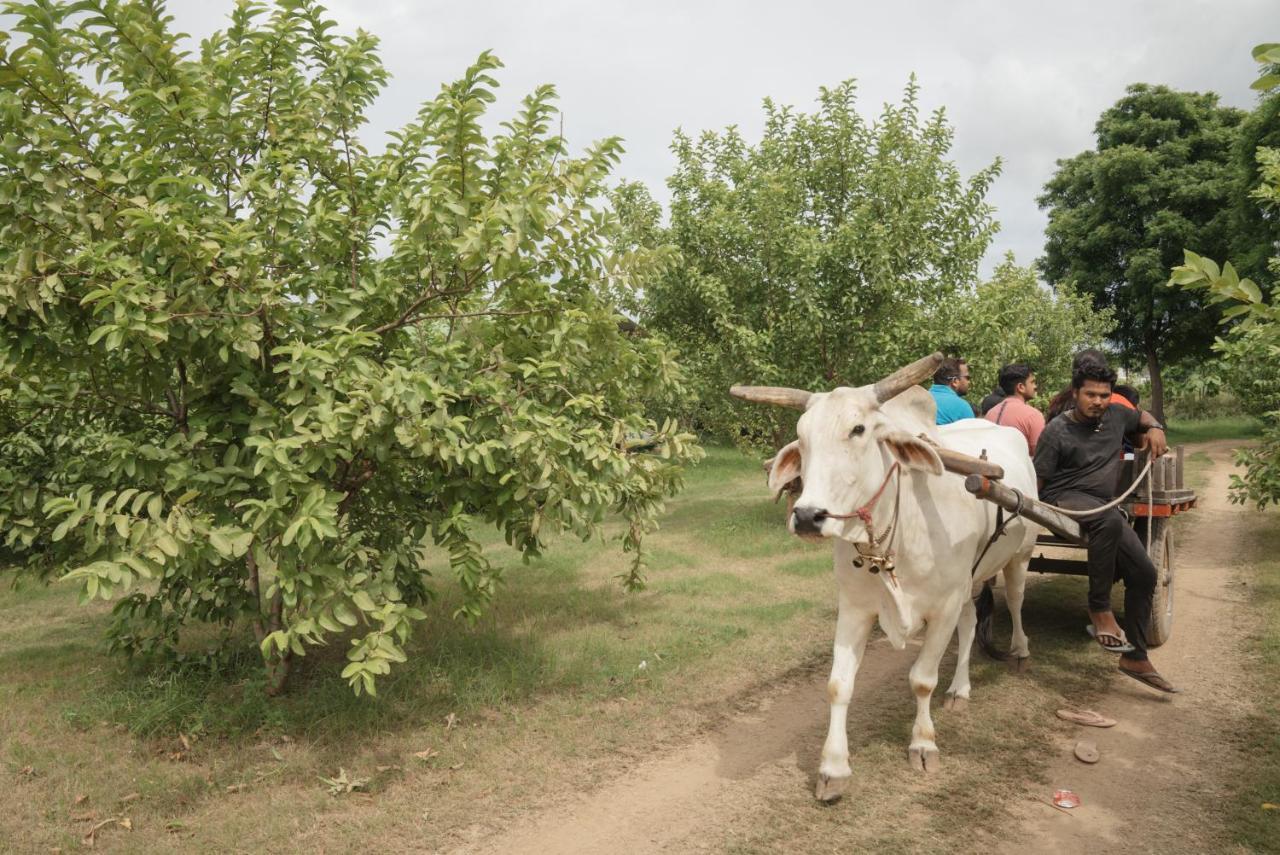 Madhavgarh Farm & Resort Gurgaon Eksteriør bilde